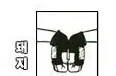 멧돼지